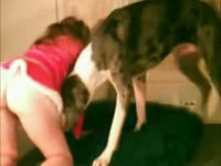 Dog oral sex with girl on costume